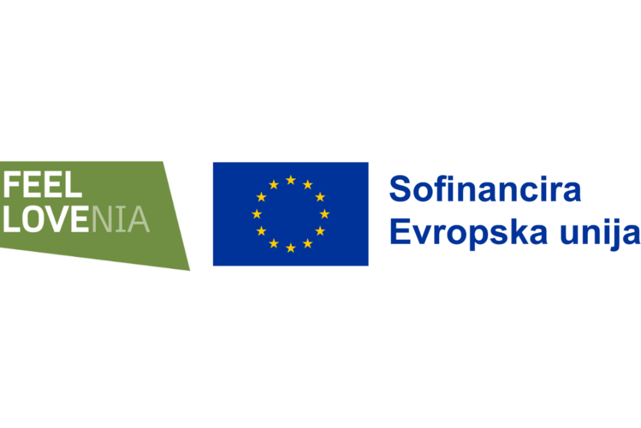 Z mladinskim delom proti prekarnosti mladih - pilotni projekt - Zavod Mladinski center Kotlovnica Kamnik