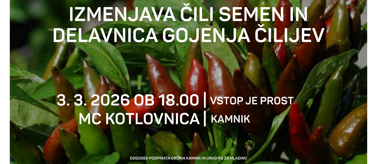 Izmenjava čili semen in delavnica gojenja čilijev