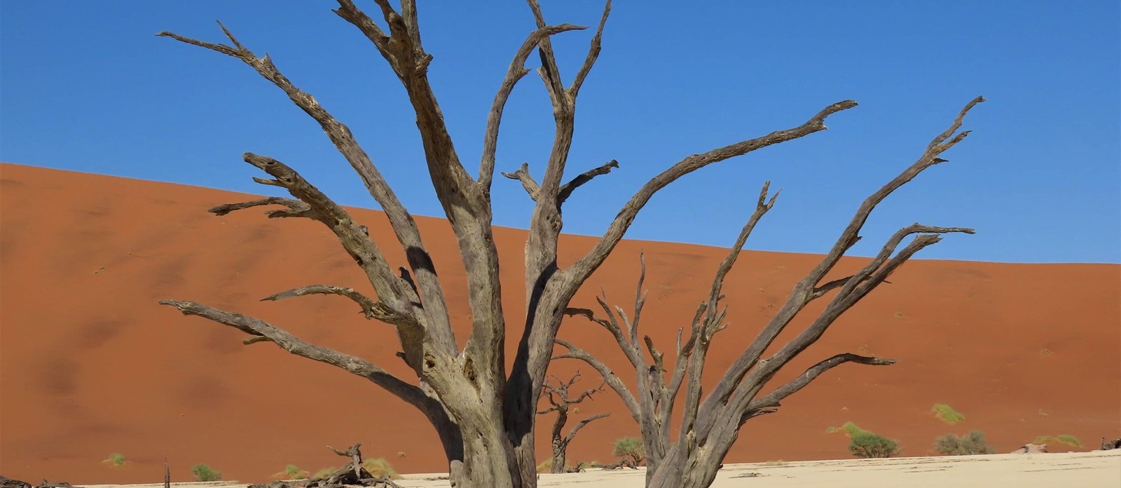 Namibija – dežela navdušujočih nasprotij, duša sveta v praznini