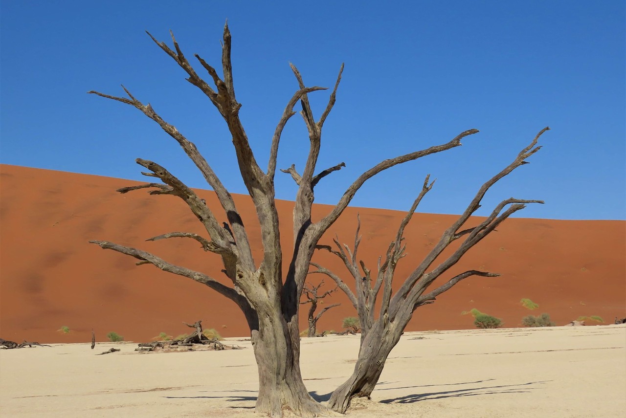 Namibija – dežela navdušujočih nasprotij, duša sveta v praznini